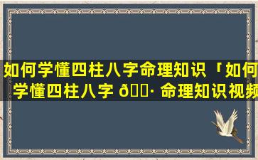 如何学懂四柱八字命理知识「如何学懂四柱八字 🌷 命理知识视频」